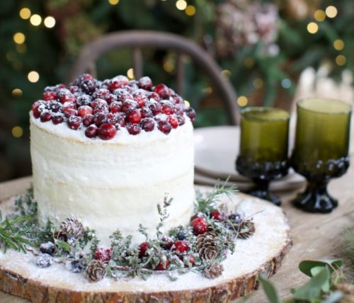 cranberry christmas cake